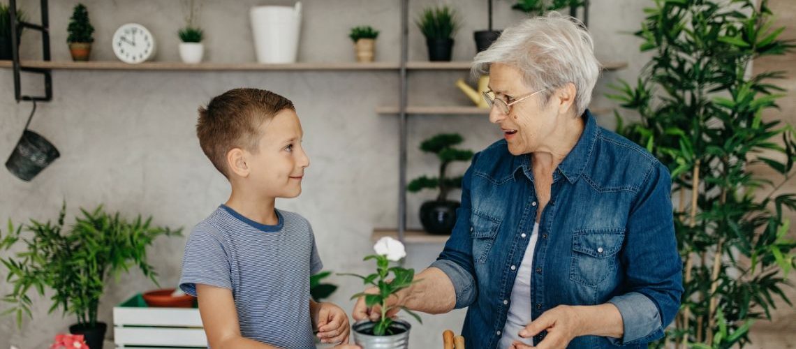 ParentGrandparent Alienation